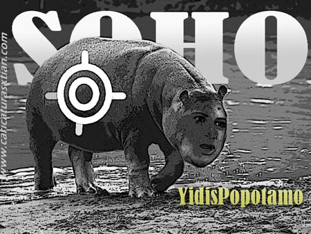 Fotomontaje de un hipopótamo con el rostro superpuesto de la ex congresista Yidis Medina